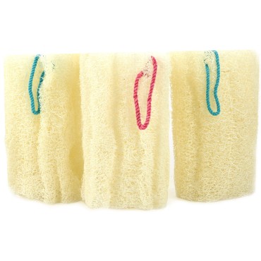 NileCart Egyptian Loofah Sponges Natural Exfoliating Body Wash Gourd, Loofah Bath Sponges for Skincare, Exfoliating Back Scrubber (Pack of 3-6.5 in.)