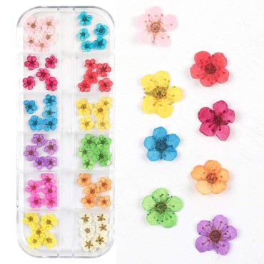 Valuu 3D Nail Dried Flowers Sticker?60 Five Petal ...