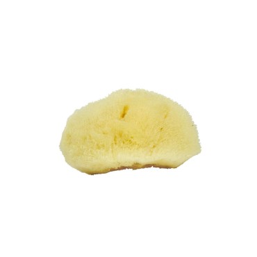 Neptune Natural Sea Soft Silk Sponge - for Cosmetic Use, Facial Cleansing, 3-4 inches