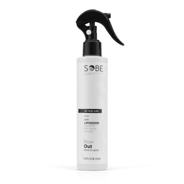 SOBE LUXE - Heat Protectant Spray For Hair, 8 Oz - Blow Dry, Thermal Styling Spray For All Hair Types, Leaves Hair Shiny, Frizz-Free and Smooth Finish