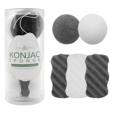 Konjac Sponge Body Set (5 Pack) Natural Organic Konjak Facial Bath Sponges for Body Face Gentle Cleansing and Exfoliating with String - for All Skin Types Including Sensitive Skin