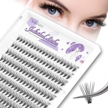 10D 20D Cluster Lashes 240 PCS Individual Lashes Cluster Lashes Lash Extension Clusters, Natural Looking Volume Handmade Home Eyelash Clusters (20D 9-12)…
