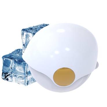 Cryotherapy Mini Ice Roller for Face Eyes with Cas...