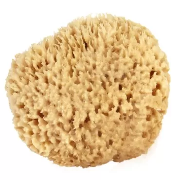 Sea Wool Sponge 4-5