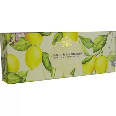English Soap Company Lemon and Mandarin Hand Soap Set