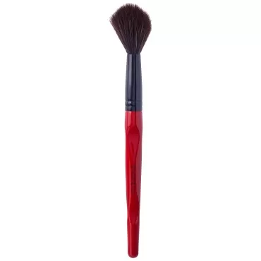 Smashbox Camera Ready Buildable Cheek Brush for Women