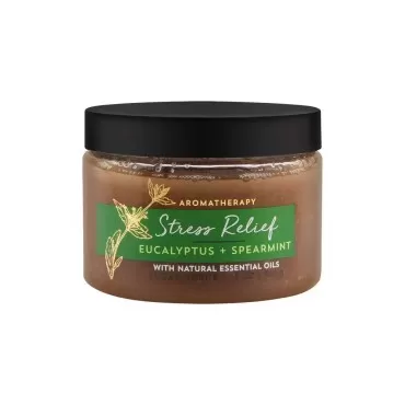 Bath & Body Works Eucalyptus Spearmint Stress Reli...