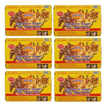 Asantee Tumeric & Ginger With Honey Soap (6-Pack)