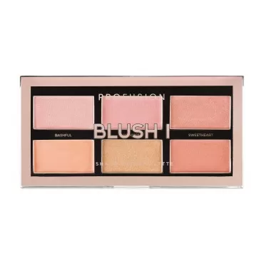 Profusion Cosmetics The Go Palette - Blush I, Long...