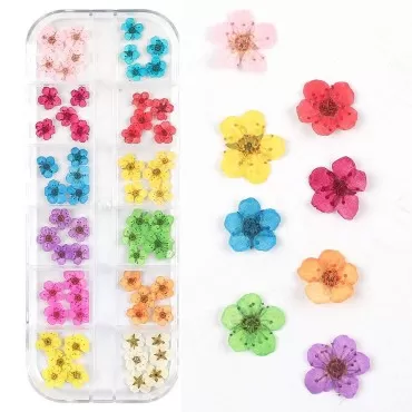 Valuu 3D Nail Dried Flowers Sticker?60 Five Petal Flower 12 Colors Natural Real Dry Flower Nail Stickers ?60 Flowers?