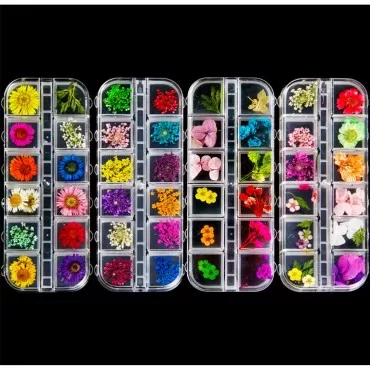 ANPHSIN 4 Boxes Dried Flowers Nail Art- 48 Colors ...