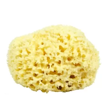 Neptune Natural Sea Wool Sponge - All Natural Hone...