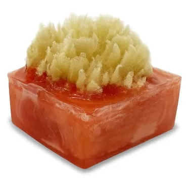 Primal Elements Island Oasis SpongeBar Soap (Pack ...