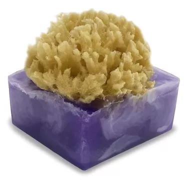 Primal Elements Lavender Blueberry SpongeBar Soap ...
