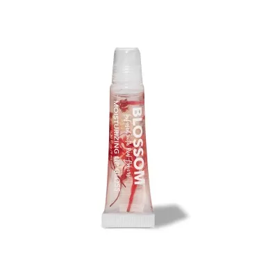 Blossom Scented Moisturizing Lip Gloss Tubes, Infu...